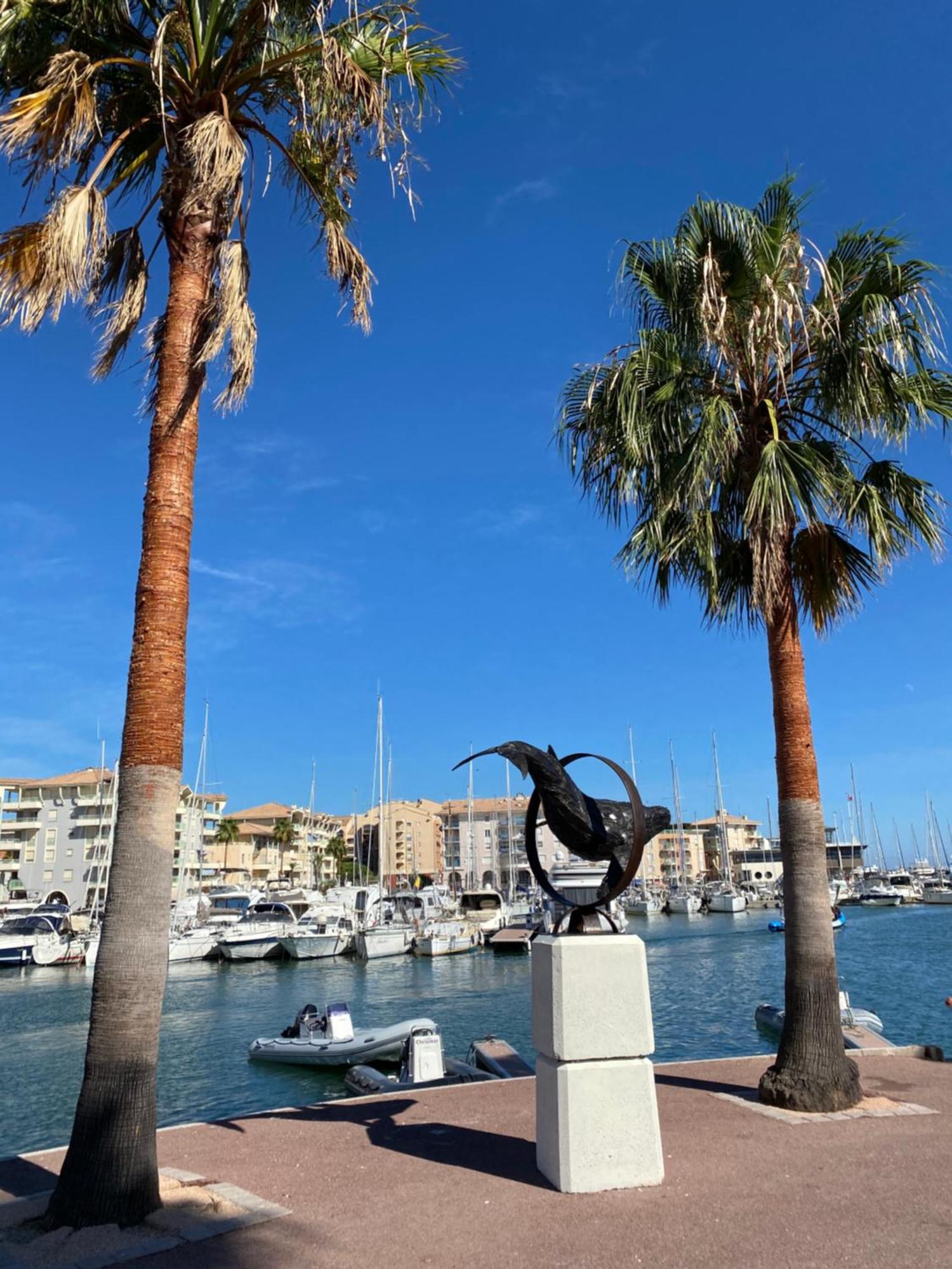 Chez Virginie : Appartement Lumineux Au Calme. Fréjus Екстериор снимка